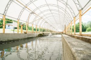 Série CC 32 x 400 Aquaculture Ferme piscicole toile Structure