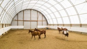 CC Series 62 x 156 Riding Arena Fabric Structure