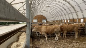 CC Series 62 x 270 Cattle Barn, CC 62 x 80 Hay Storage Fabric Structure