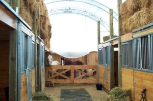 CC Series 32 x 50 Horse Stable