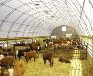 CC Series 42 x 168 Cattle Barn Fabric Structure