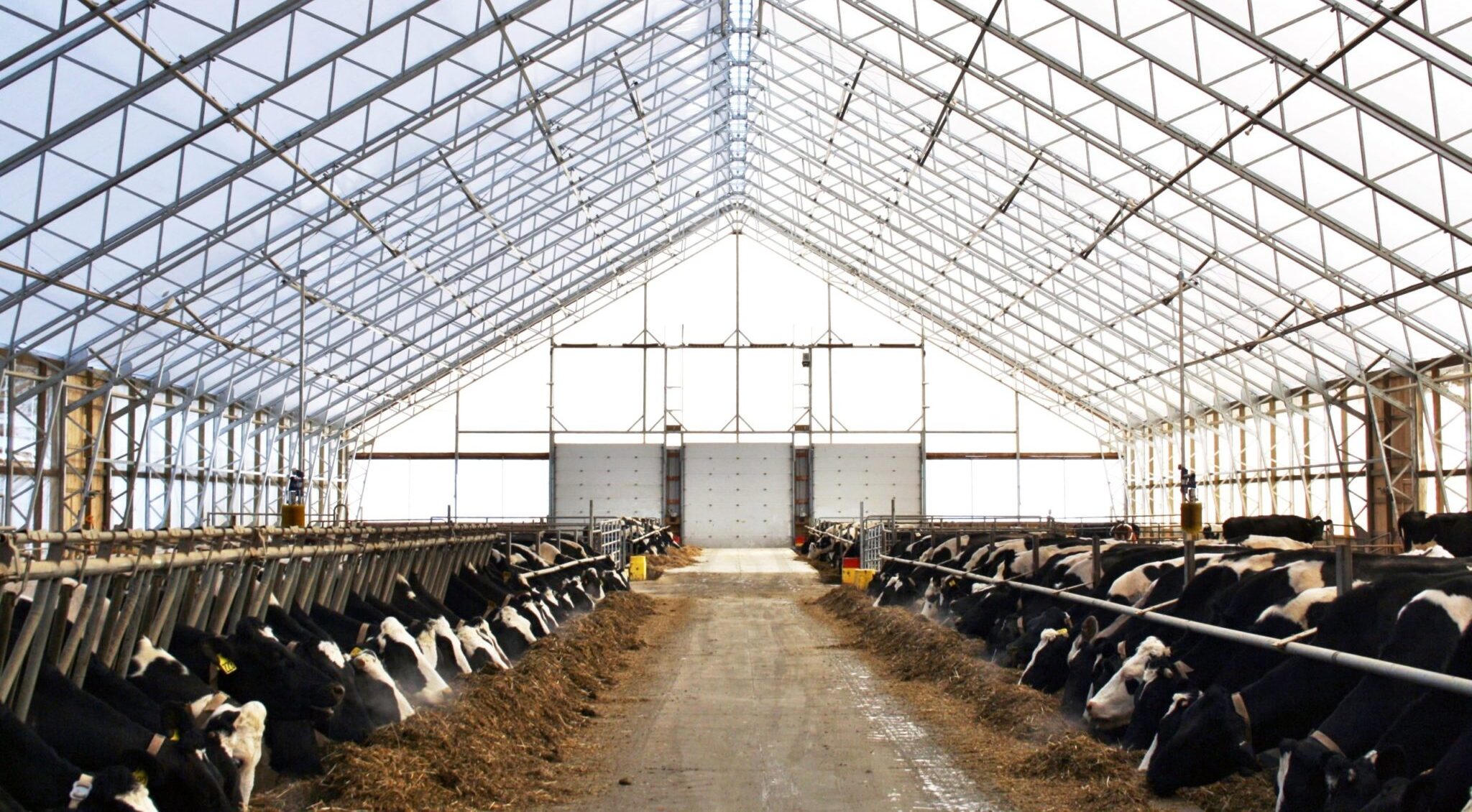 The Many Benefits of Fabric Structures for Livestock Housing