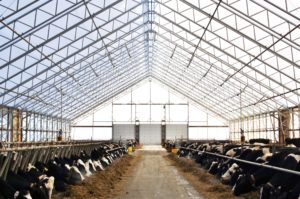 VP Series 80 x 300 Cattle Barn Fabric Structure