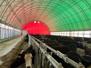 CC Series Fabric Structure on Wood Posts for Agricultural Livestock Storage