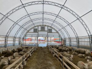 Série CC toile Structure sur pieds en acier pour le stockage des moutons
