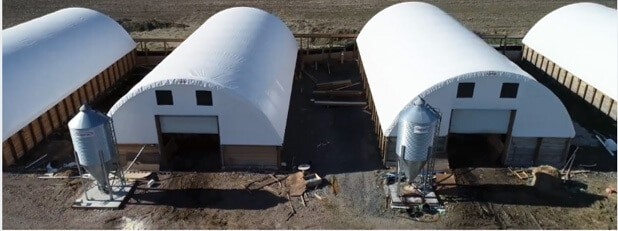 Fabric Structures Reduce Swine Heat Stress