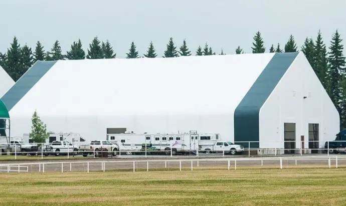 VP-series-100x140-Equine-Frong-e1592319252151