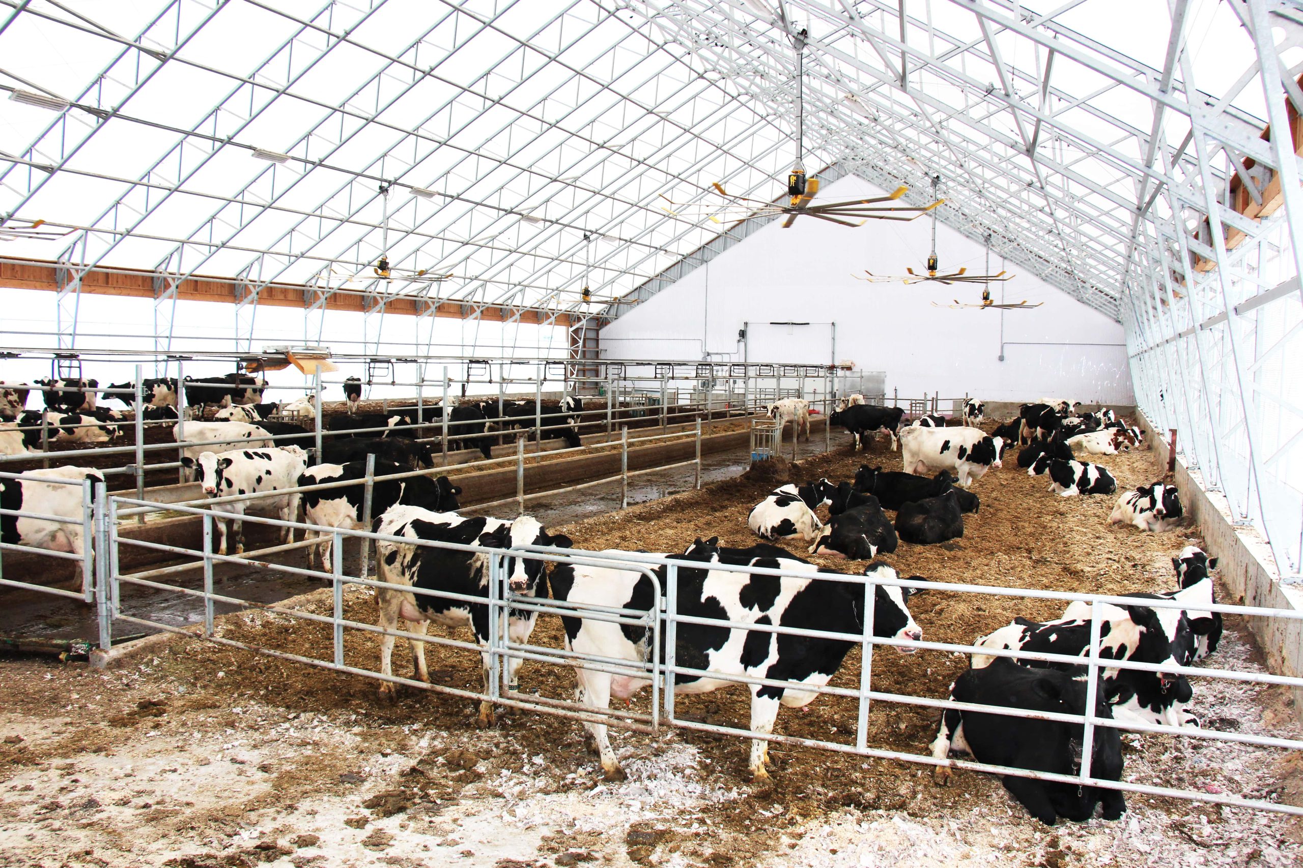 vpseries_100x204_dairy_inside-min-scaled